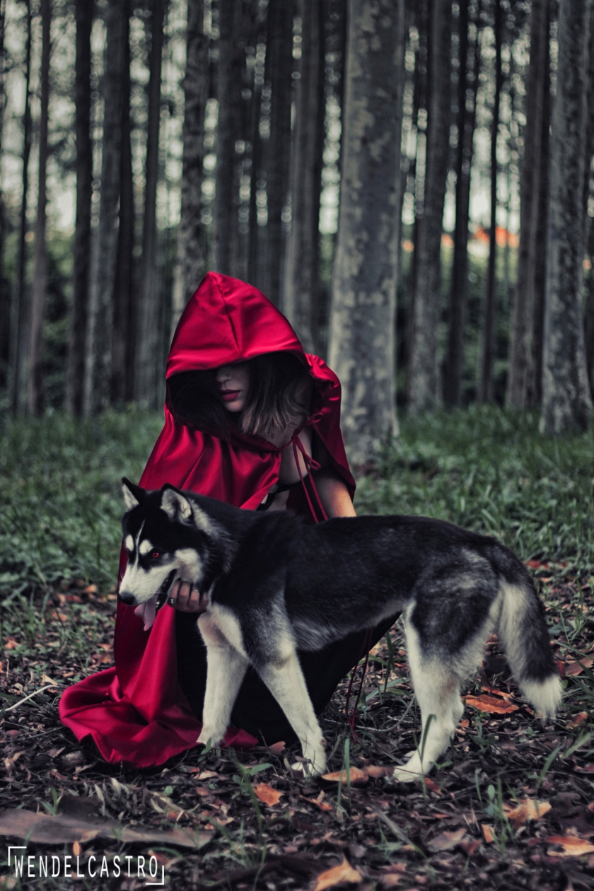 The girl and Wolf (6)